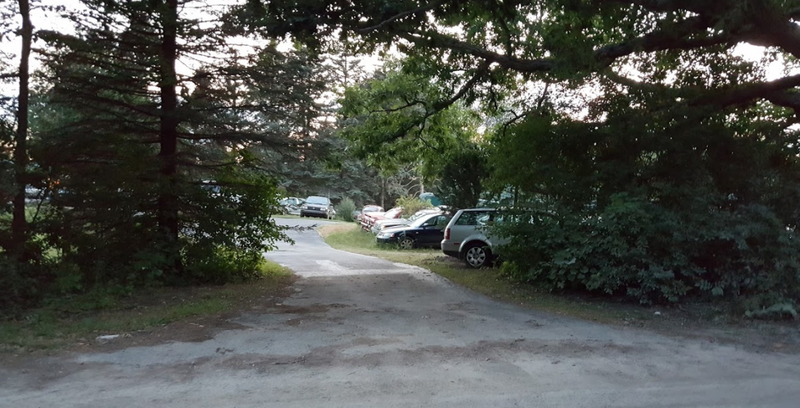 Illustration for article titled A Michigan Town Is Forcing This Man To Sell 20 Old Cars Off His Property Every Month